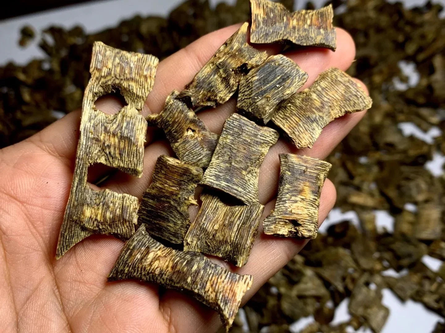 Premium Oud Agarwood Incense Chips – Sacred Ritual Blend