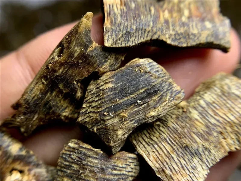 Premium Oud Agarwood Incense Chips – Sacred Ritual Blend