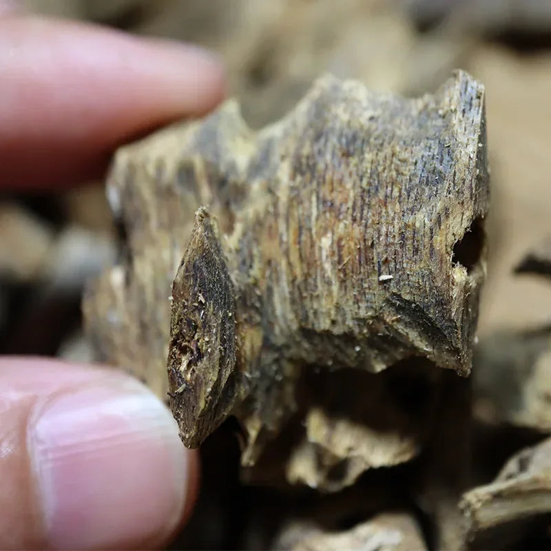 Premium Oud Agarwood Incense Chips – Sacred Ritual Blend