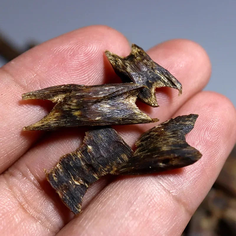 Premium Oud Agarwood Incense Chips – Sacred Ritual Blend
