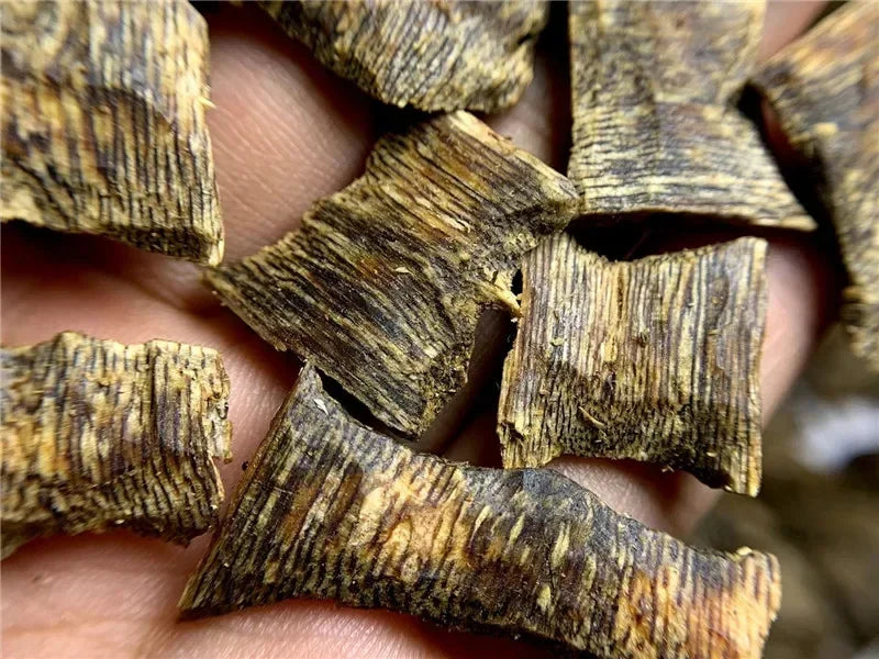 Premium Oud Agarwood Incense Chips – Sacred Ritual Blend
