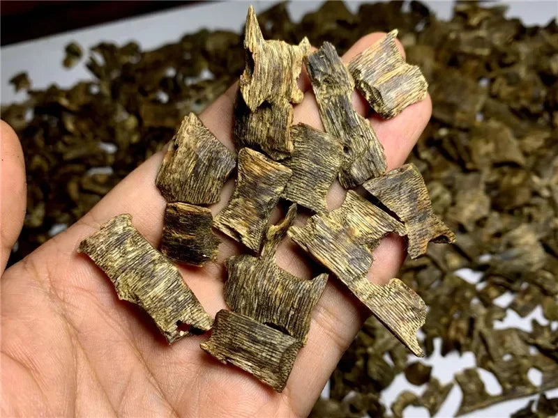 Premium Oud Agarwood Incense Chips – Sacred Ritual Blend